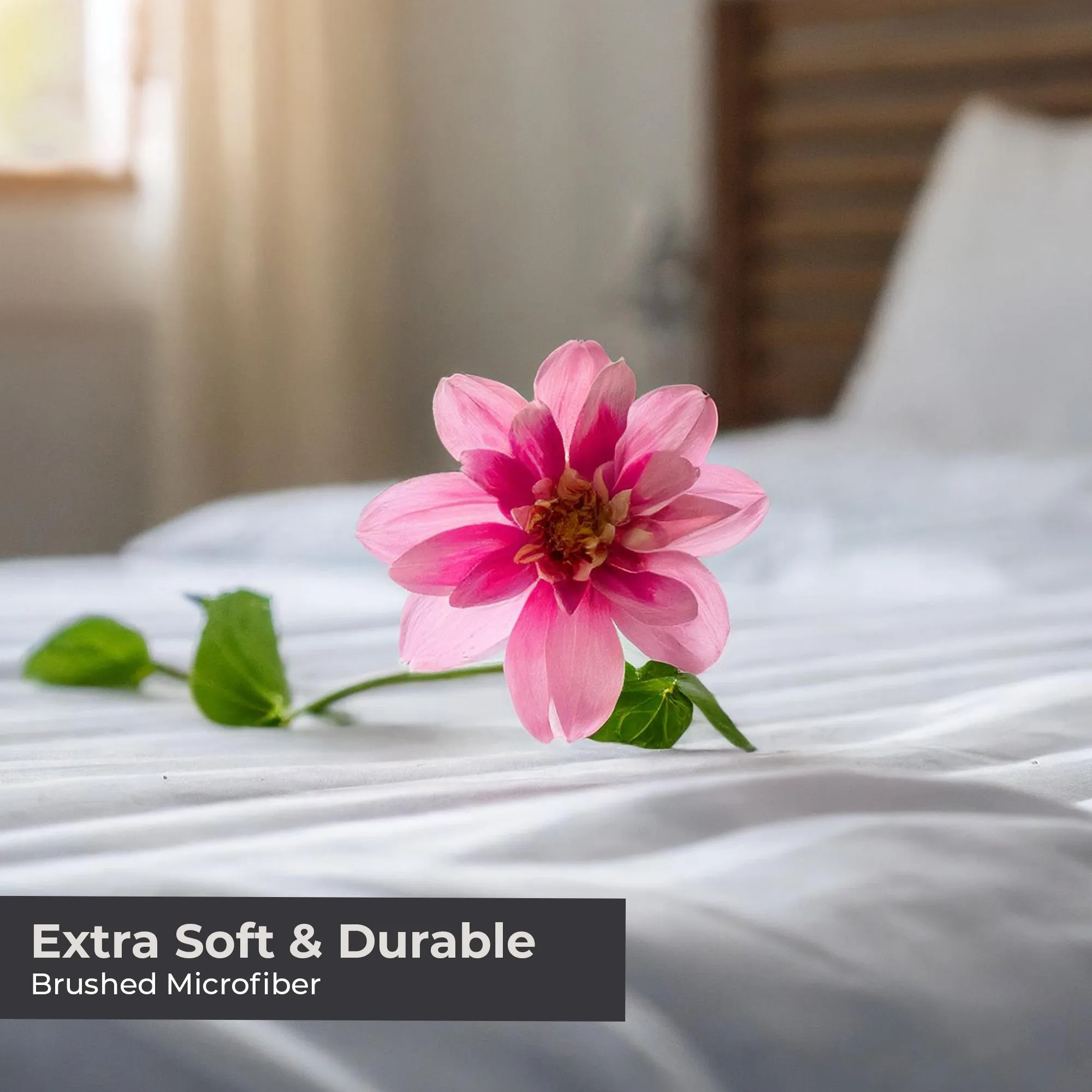 4 Piece Sheet Set (New Colors)