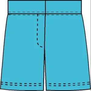 Bachelor Button Blue Shorts