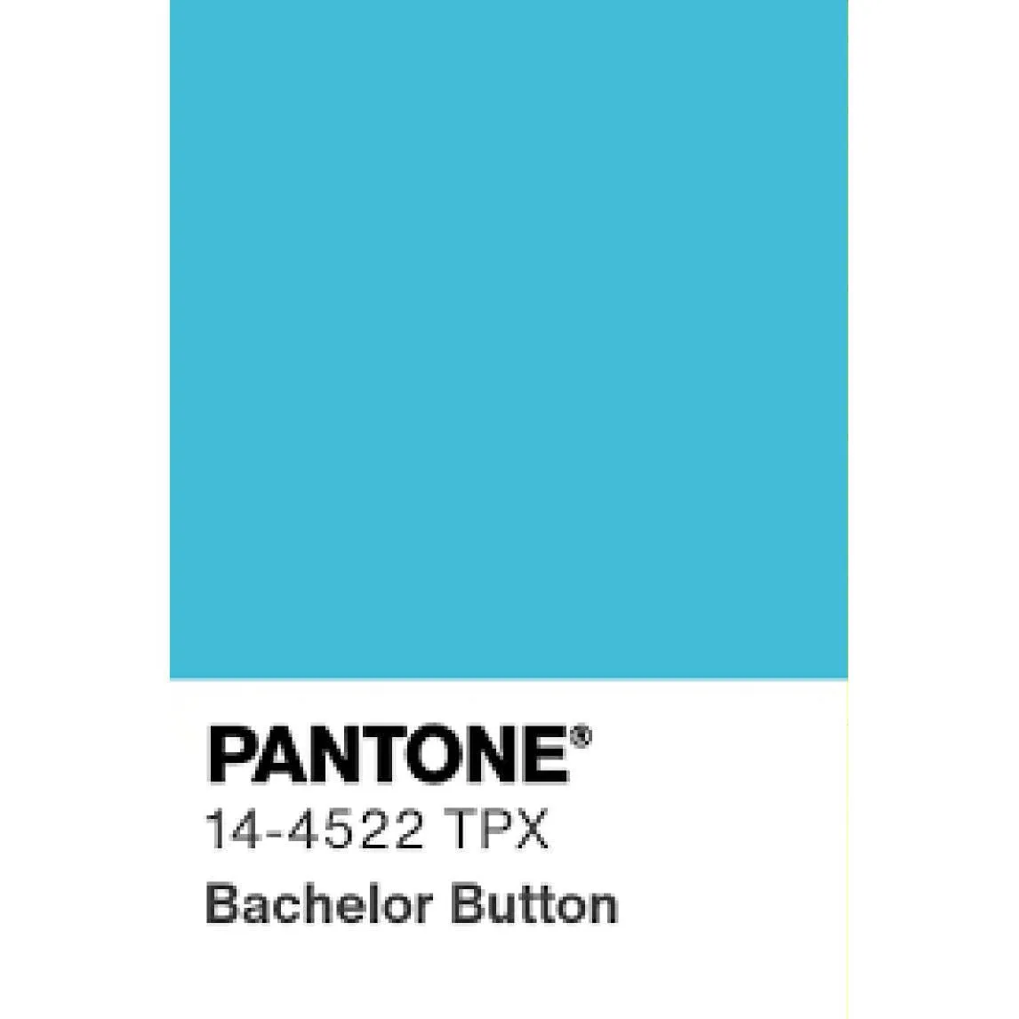 Bachelor Button Blue Shorts