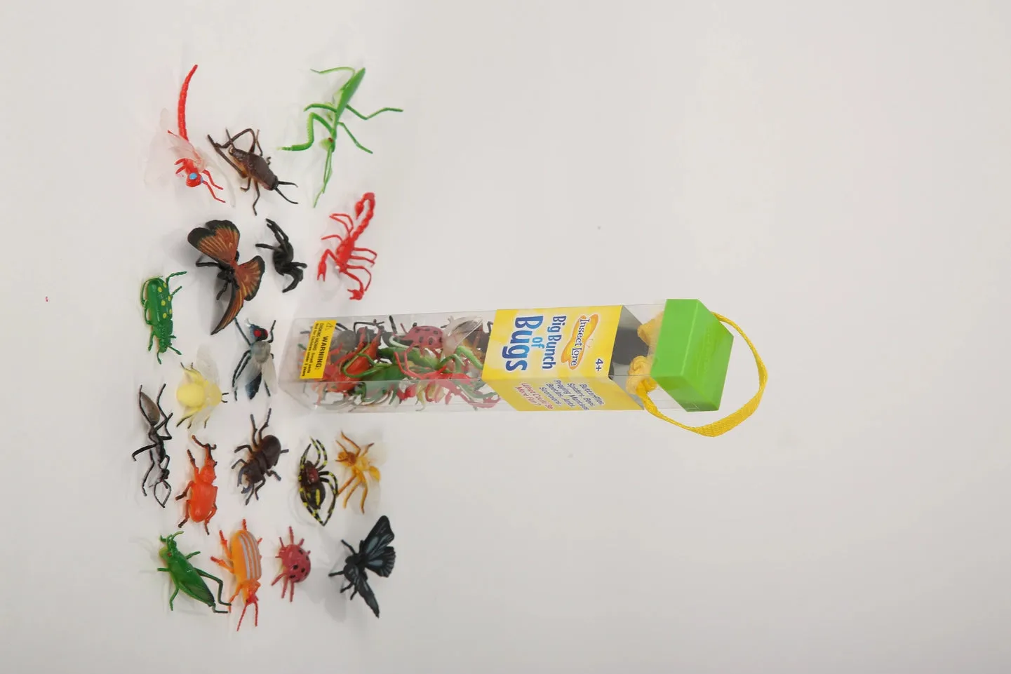 Insect Lore: Big Bunch O' Bugs