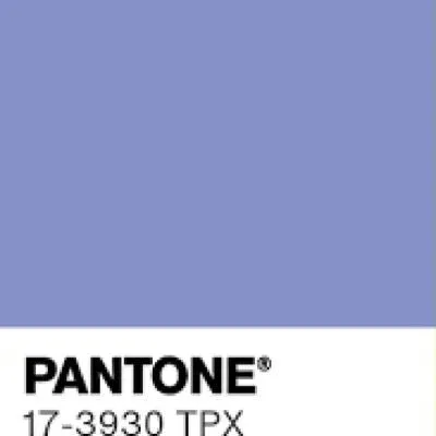 Jacaranda Purple Shorts