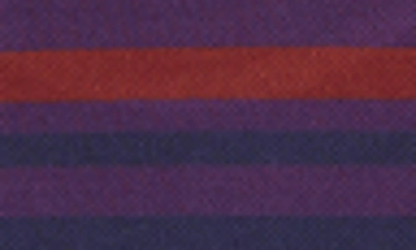Levi’s Skate Graphic Box Tee Grape Royal Stripe Purple & Red