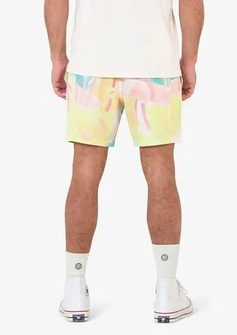Loaded Boardshort Multi