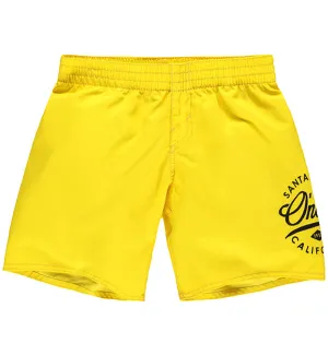 O'Neill Boys Surf Cruz Boardshorts