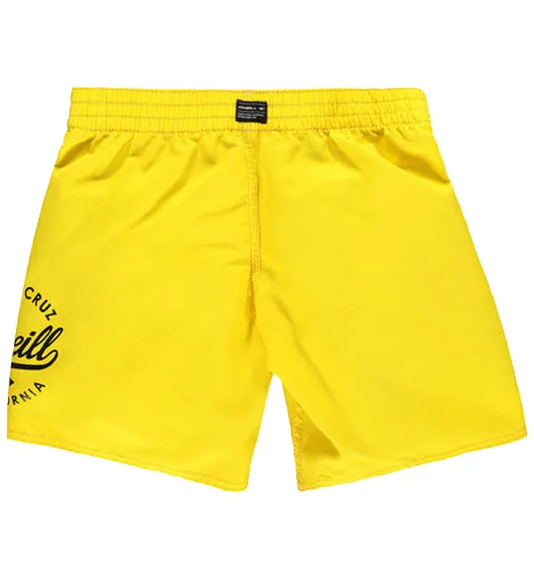 O'Neill Boys Surf Cruz Boardshorts