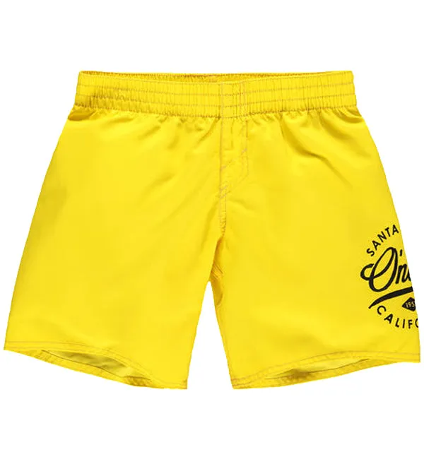 O'Neill Boys Surf Cruz Boardshorts