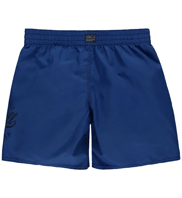 O'Neill Boys Surf Cruz Boardshorts