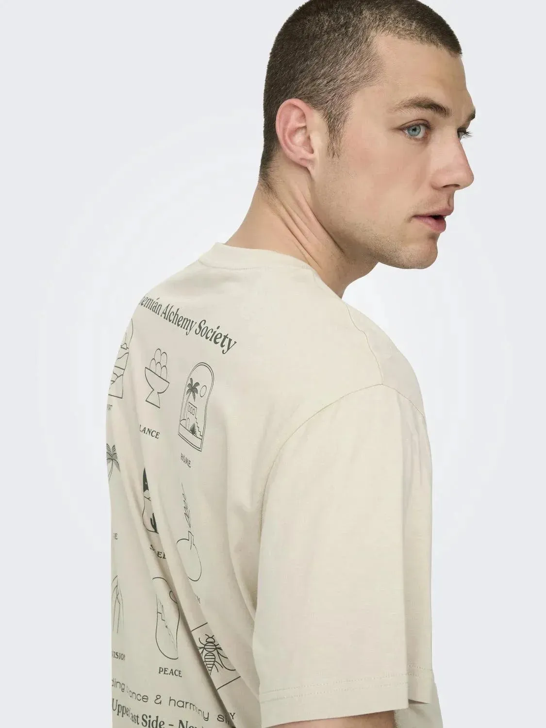Only & Sons Kason Relax Print T-Shirt Silver Lining