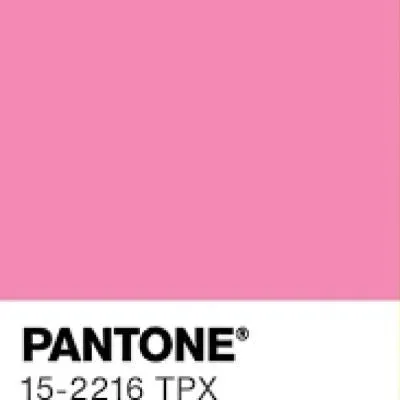 Sachet Pink Shorts