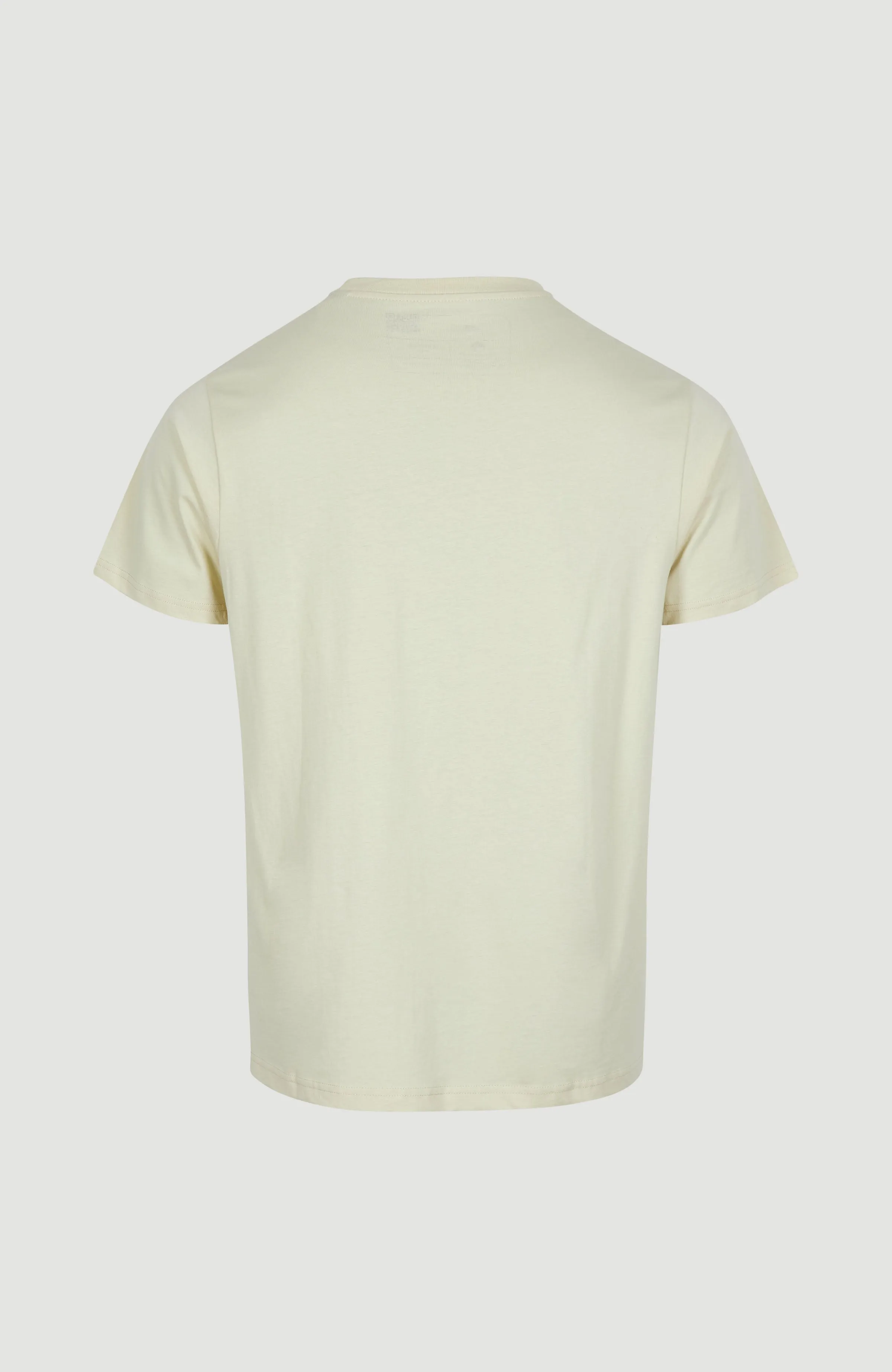 Stream T-Shirt | Frozen Dew