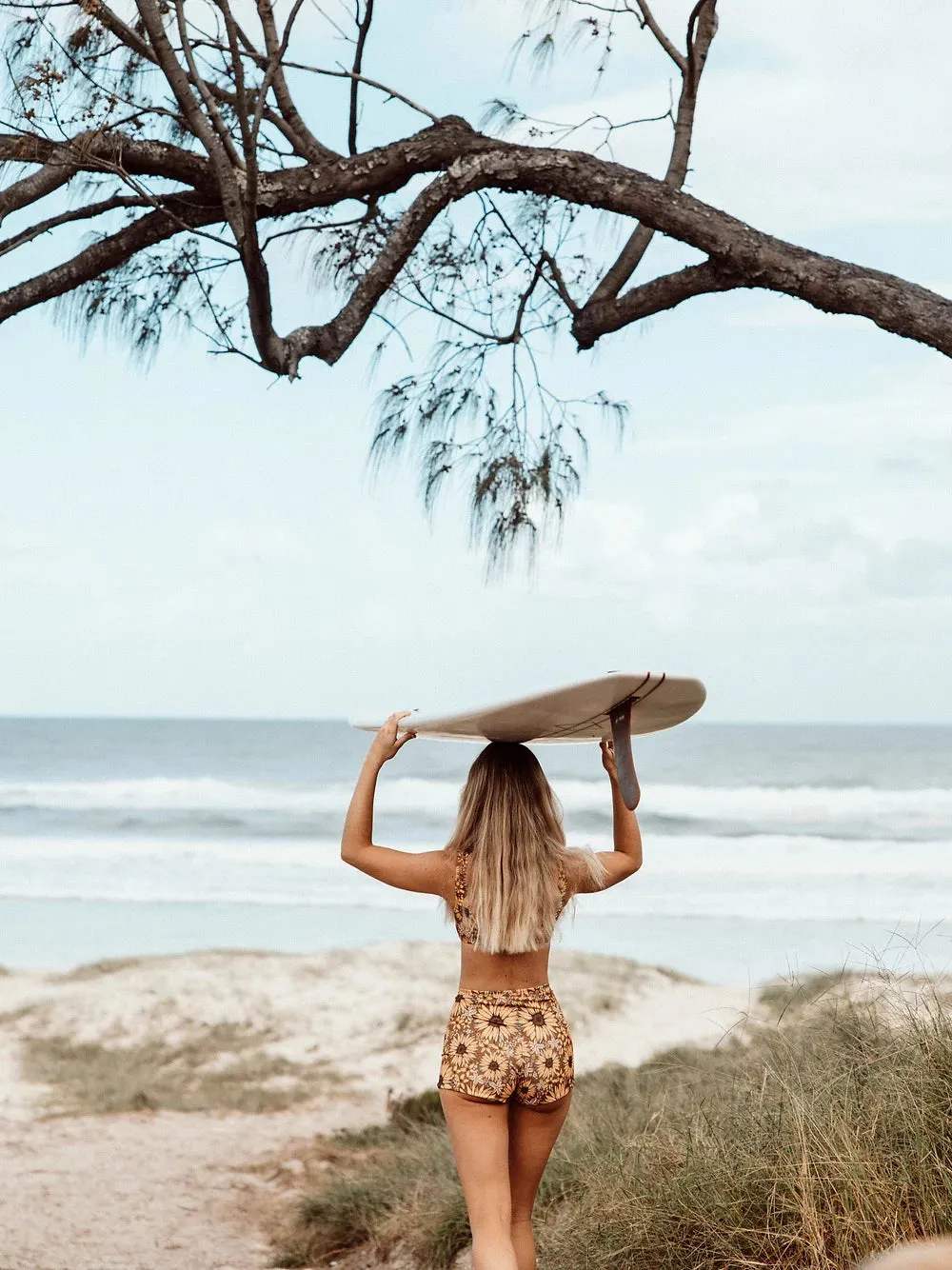 Surf Shorties in Sunflower