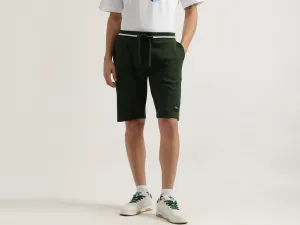 Textured Regular Fit Shorts