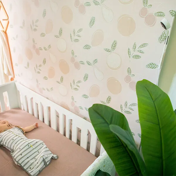 Viyü: Wifi Baby Monitor