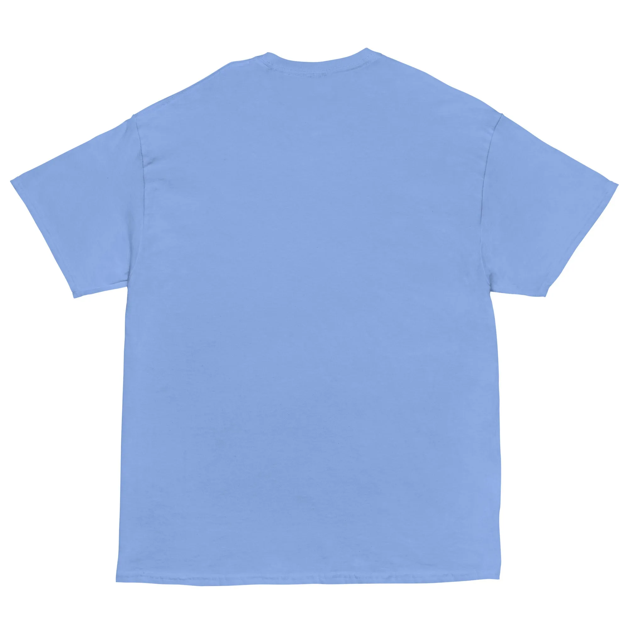 Voting for felon and hillbilly Unisex classic tee