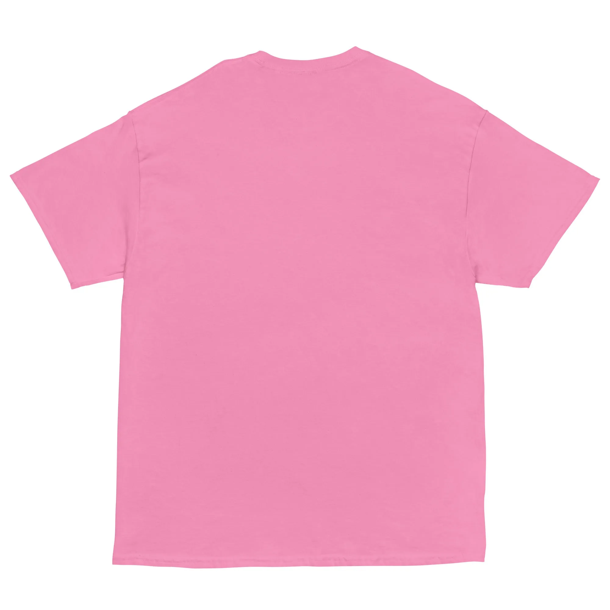 Voting for felon and hillbilly Unisex classic tee